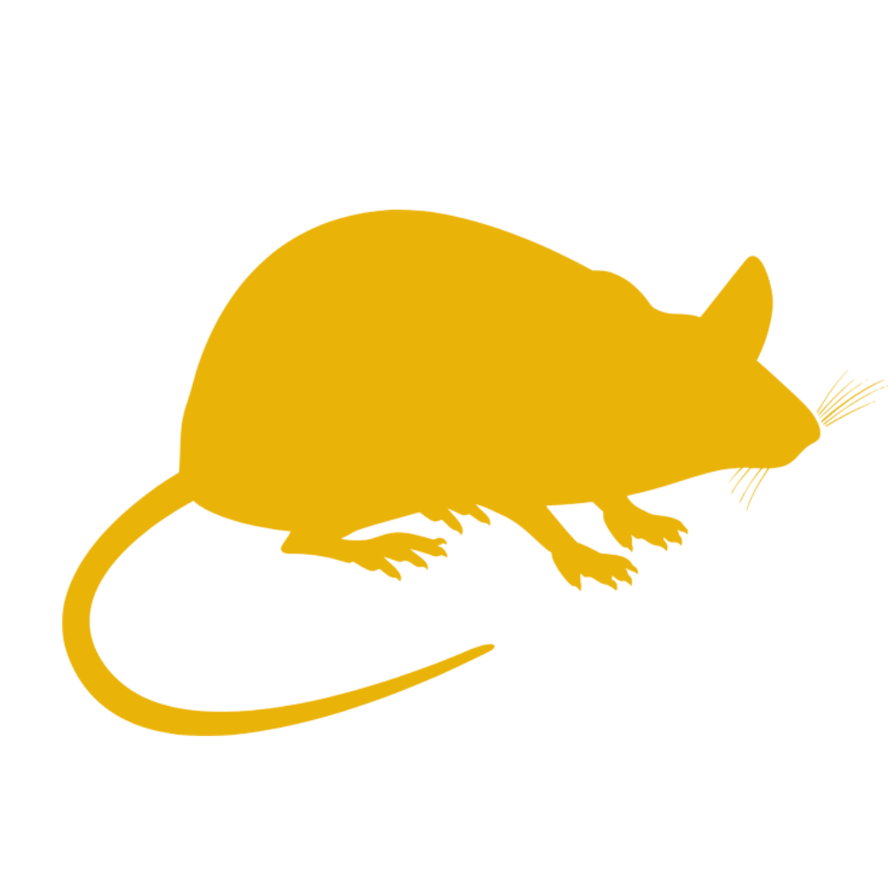 Desratización