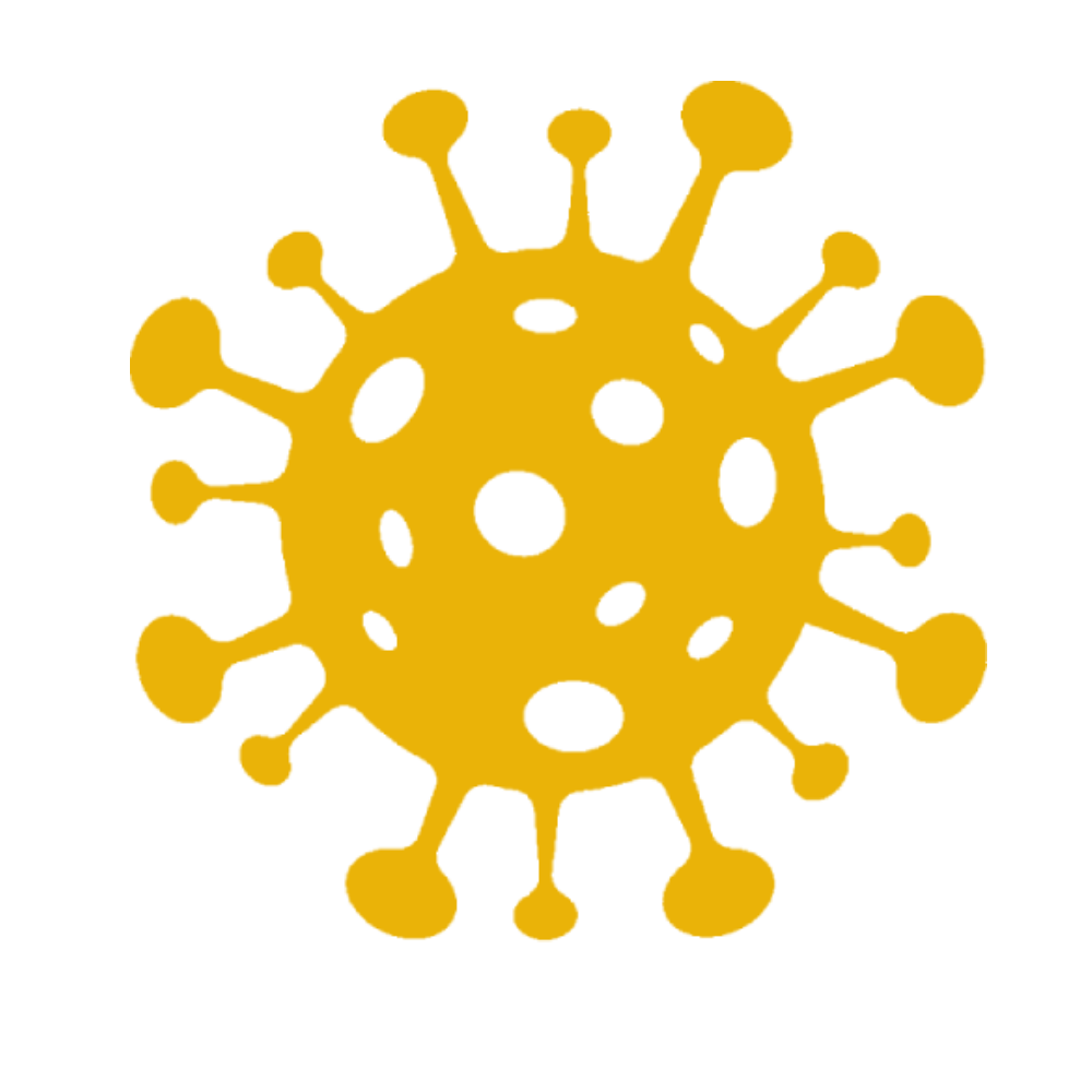 Sanitización